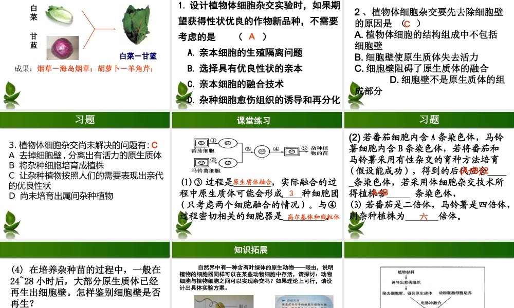 植物体细胞杂交(完整).ppt