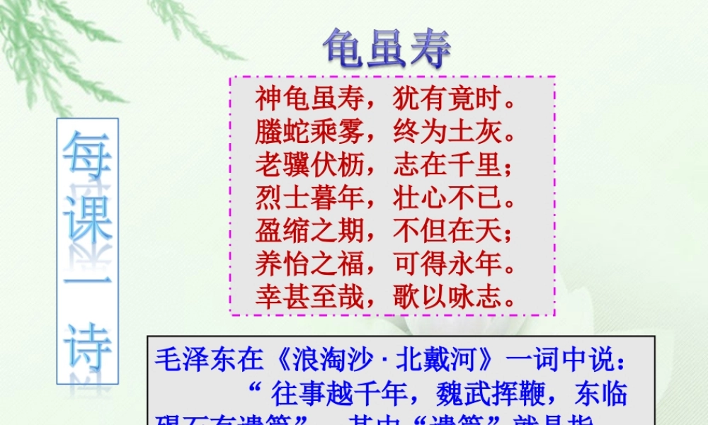 最新痛与不痛的秘密.ppt