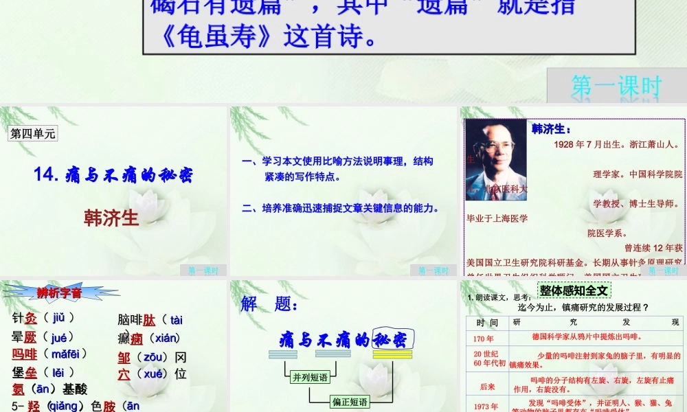 最新痛与不痛的秘密.ppt