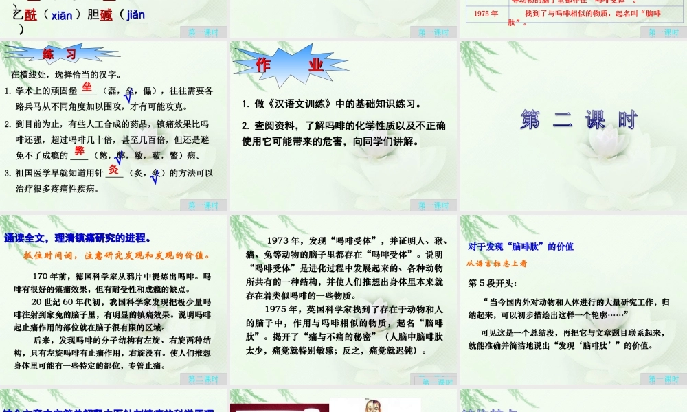 最新痛与不痛的秘密.ppt