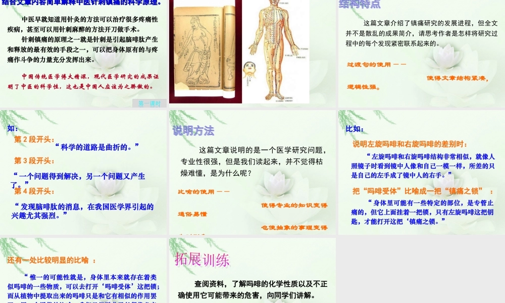 最新痛与不痛的秘密.ppt