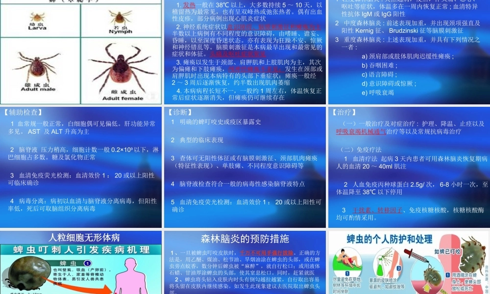 森林脑炎-教学查房.ppt