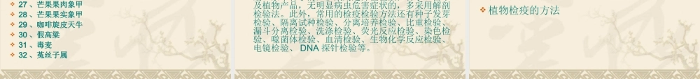 植物病虫害防治.ppt