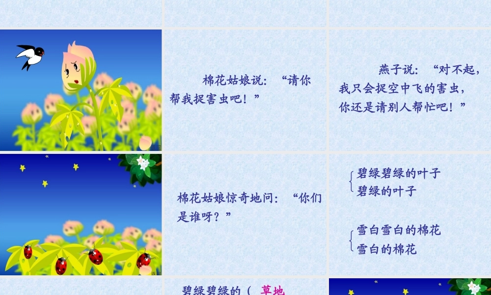 棉花姑娘生病了-叶子上有许多可恶的蚜虫.ppt