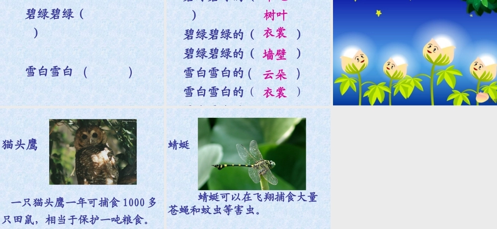 棉花姑娘生病了-叶子上有许多可恶的蚜虫.ppt