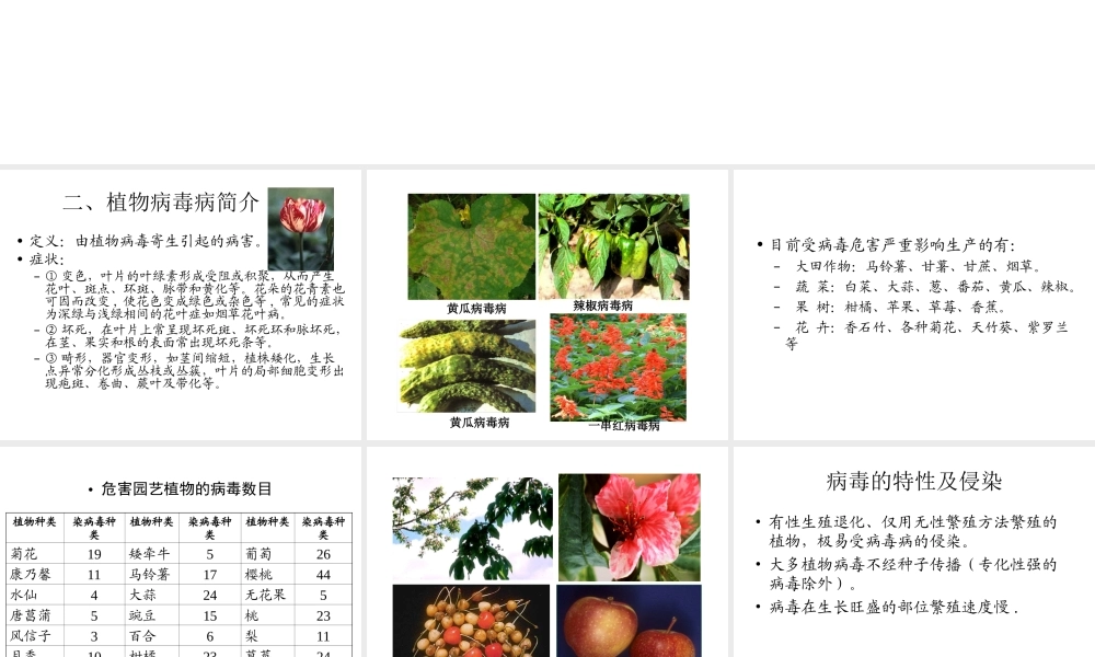 植物的脱毒培养与人工种子.ppt