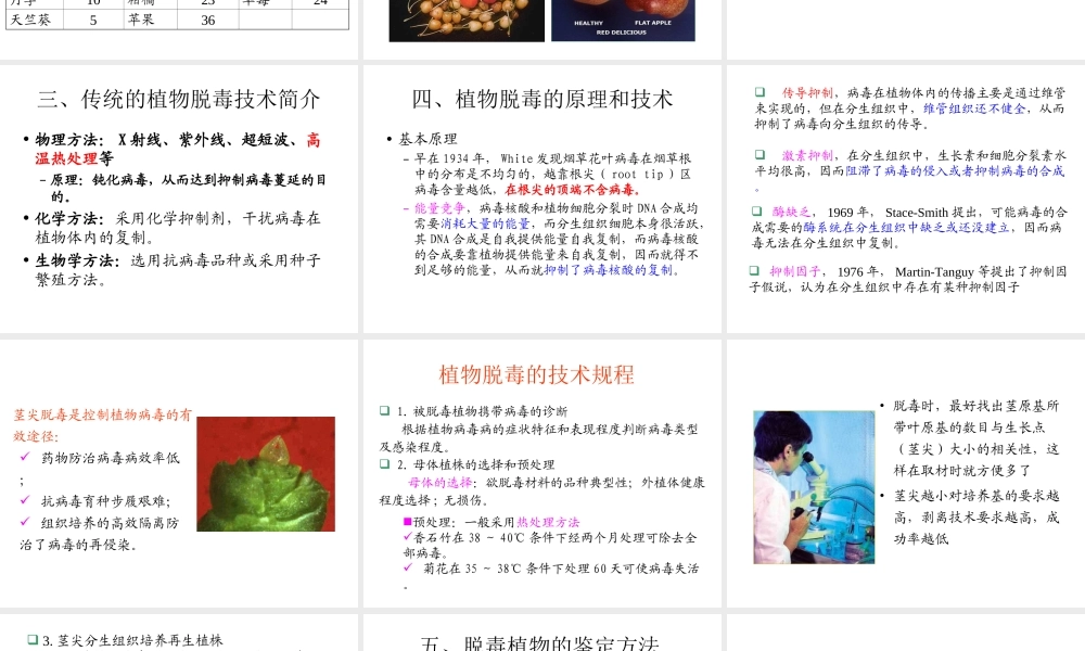 植物的脱毒培养与人工种子.ppt