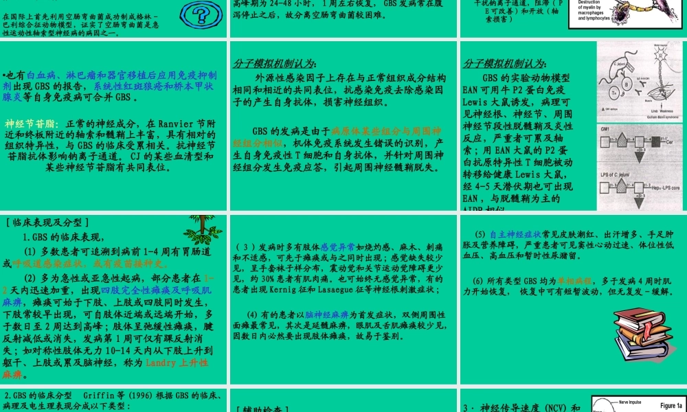 樊金玲医生——格林巴利症实习.ppt