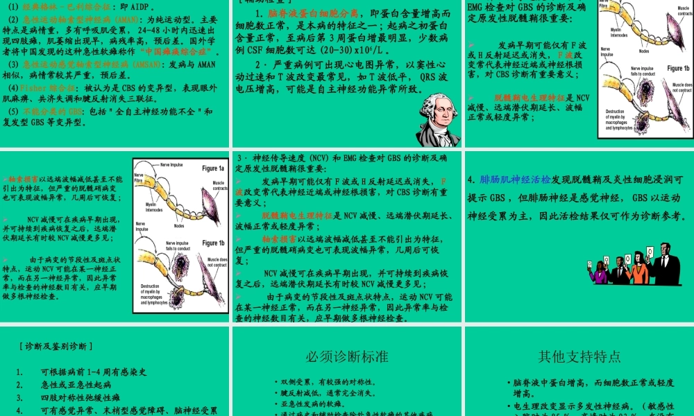 樊金玲医生——格林巴利症实习.ppt