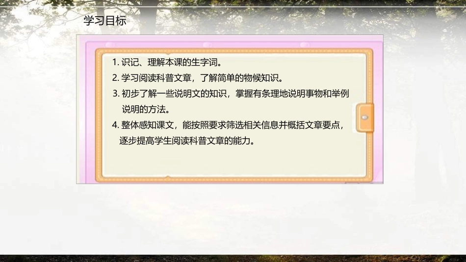 大自然的语言PPT课件2.pptx_第3页