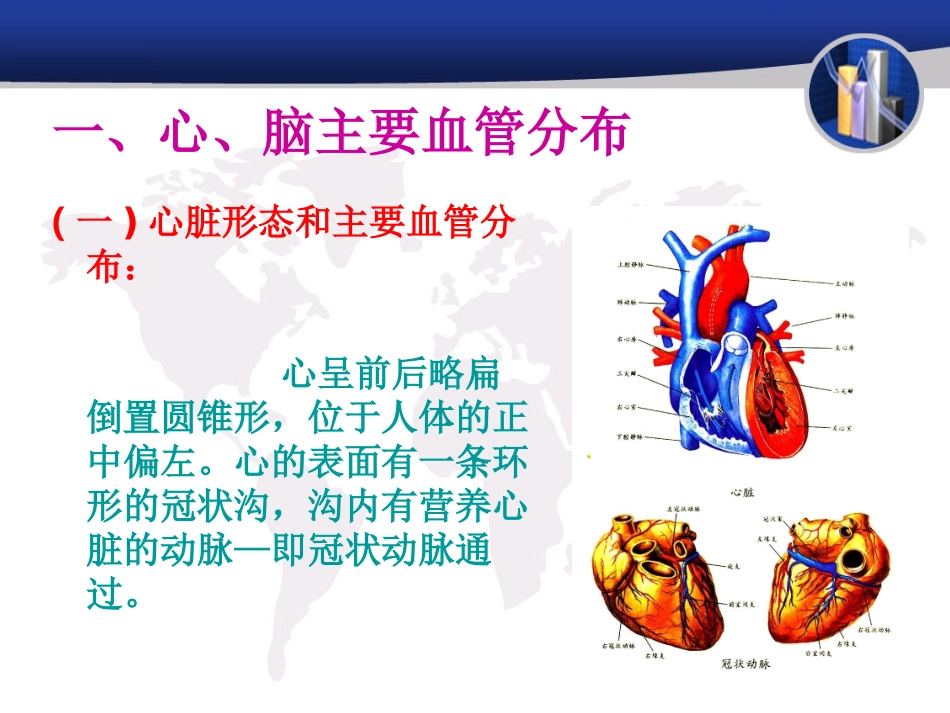 心脑血管、常见疾2.ppt_第3页