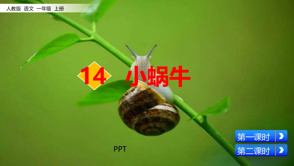 小蜗牛PPT课件3.pptx_第1页