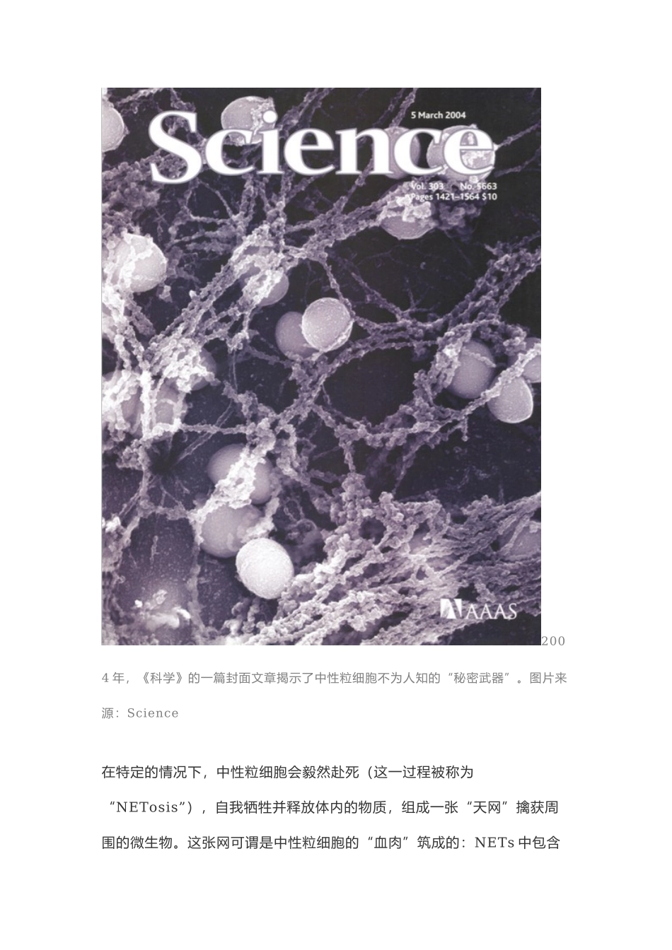 抗菌天网-中性粒细胞.docx_第3页