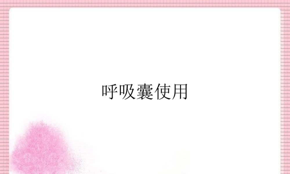 呼吸囊的使用.ppt
