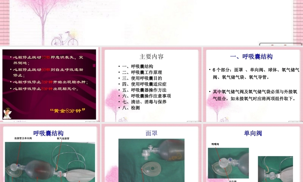 呼吸囊的使用.ppt