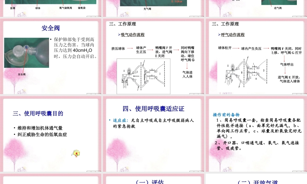呼吸囊的使用.ppt