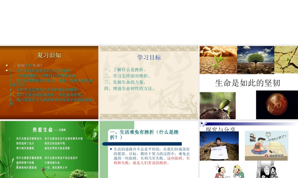 增强生命的韧性..ppt