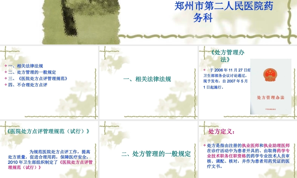 处方的调配与点评.ppt