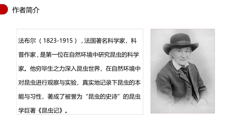 蝉PPT课件6.pptx_第3页