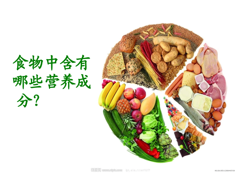 我们的营养.pptx_第2页