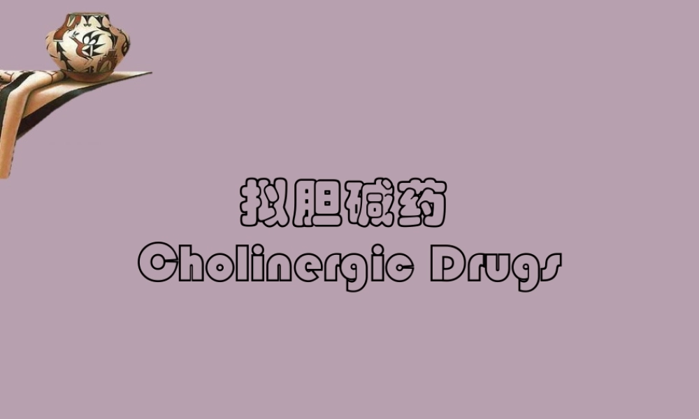 叔胺类解痉药.ppt