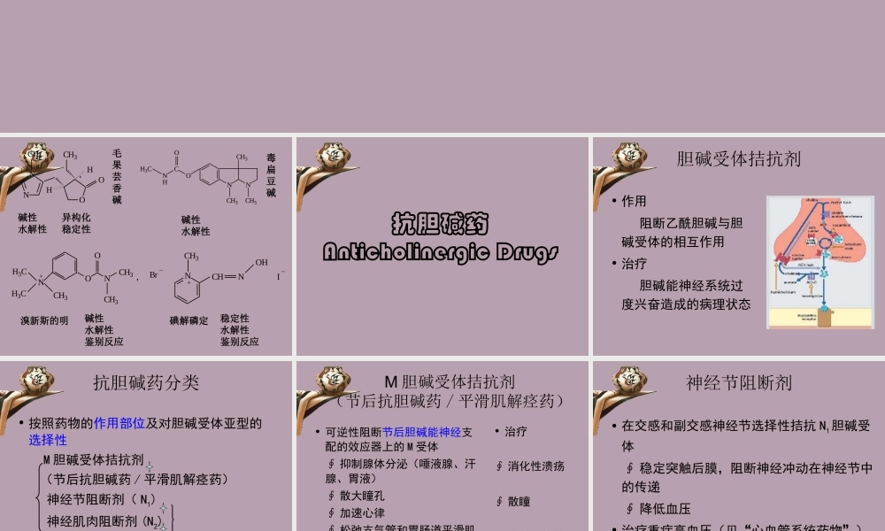 叔胺类解痉药.ppt
