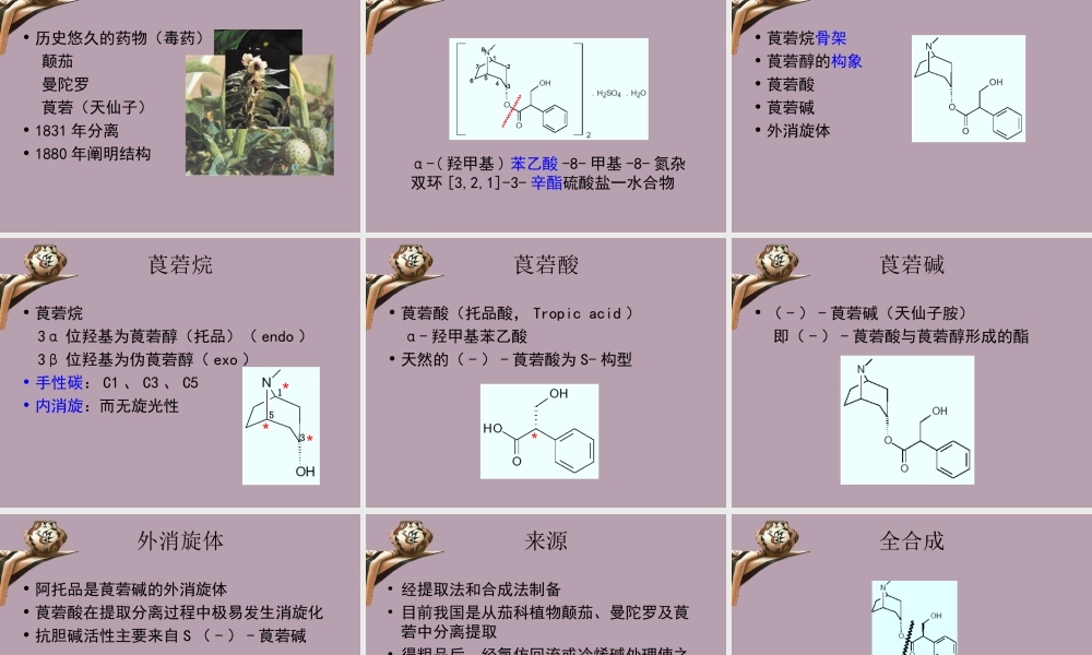 叔胺类解痉药.ppt
