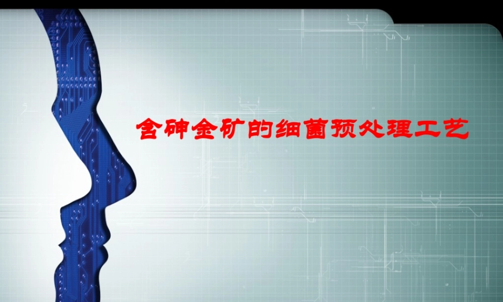 含砷金矿的细菌预处理工艺.pptx