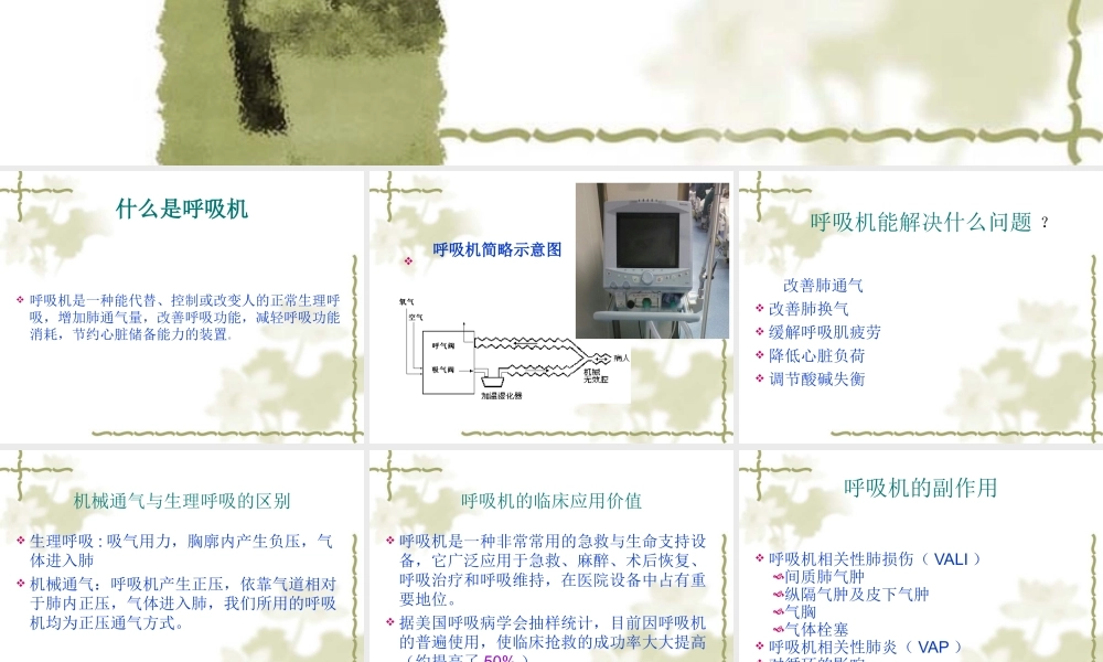 呼吸机的使用.ppt