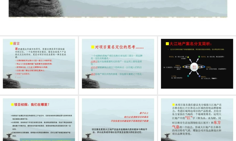 吉林市大江地产新民药厂项目案名建议.ppt