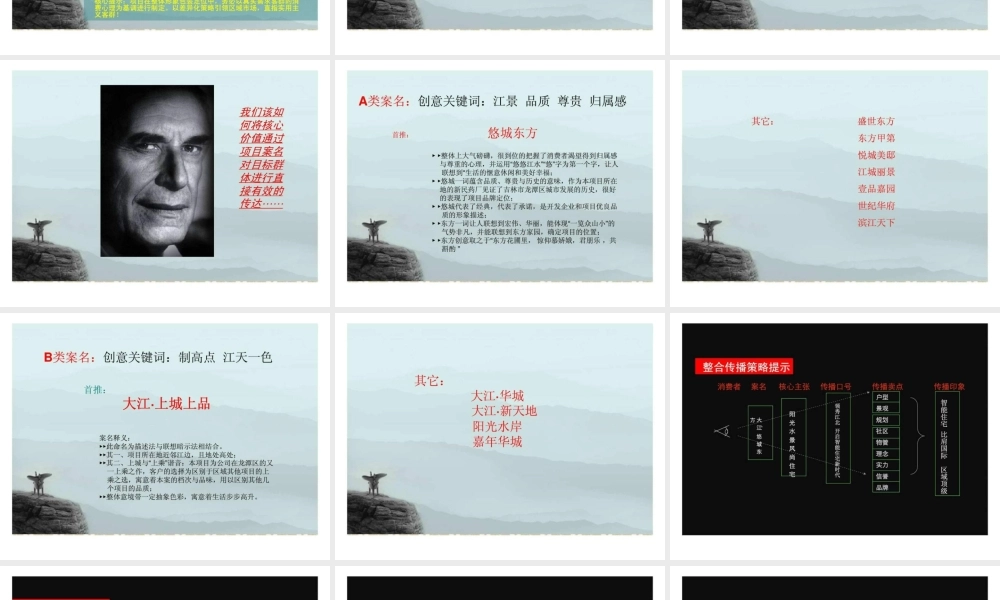 吉林市大江地产新民药厂项目案名建议.ppt