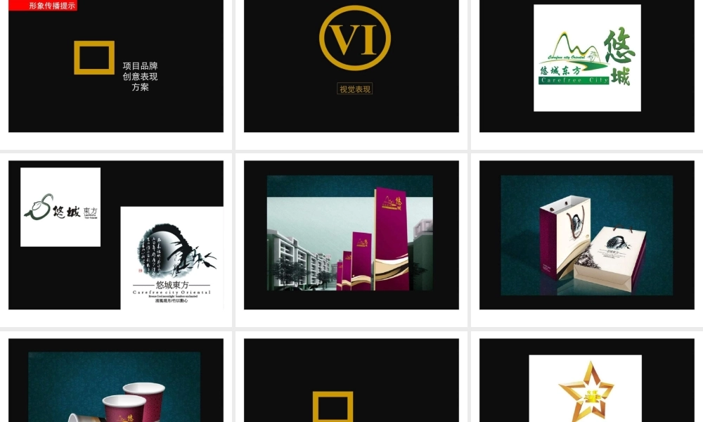 吉林市大江地产新民药厂项目案名建议.ppt