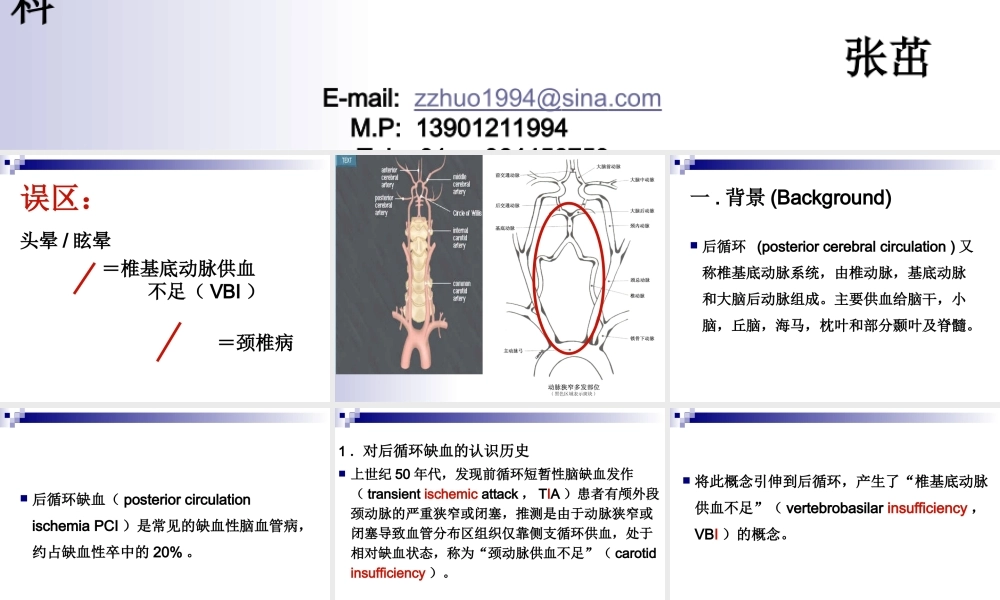 后循环缺血专家共识.ppt