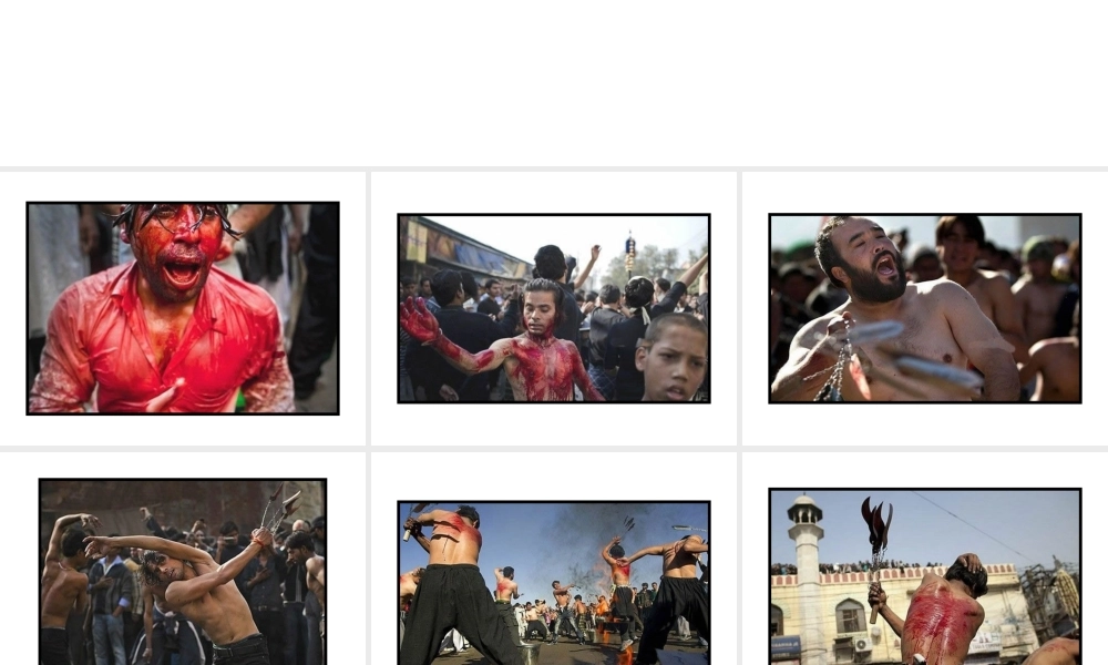 各国风俗欣赏----印度血腥自残阿舒拉讲.ppt