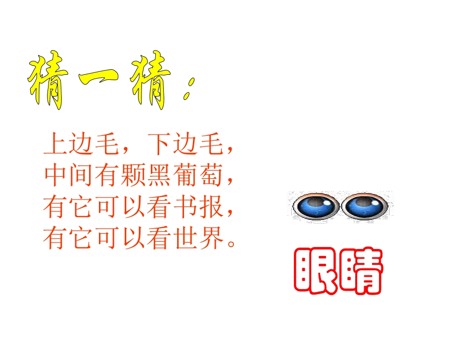 我的眼睛亮晶晶.ppt_第1页