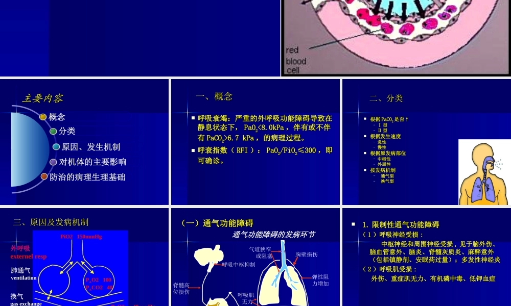 呼吸衰竭、ARDS.ppt