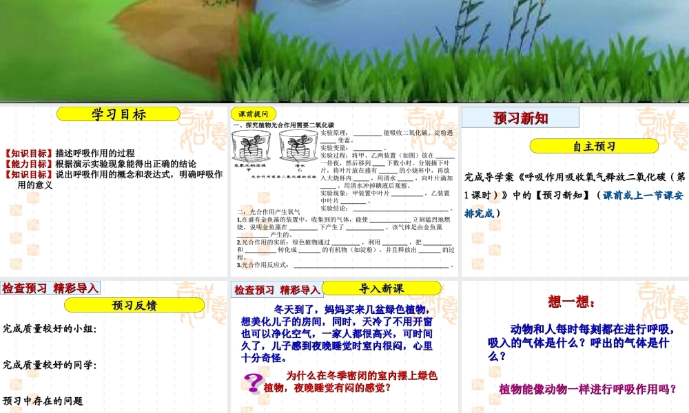 呼吸作用消耗氧气释放二氧化碳定稿.ppt