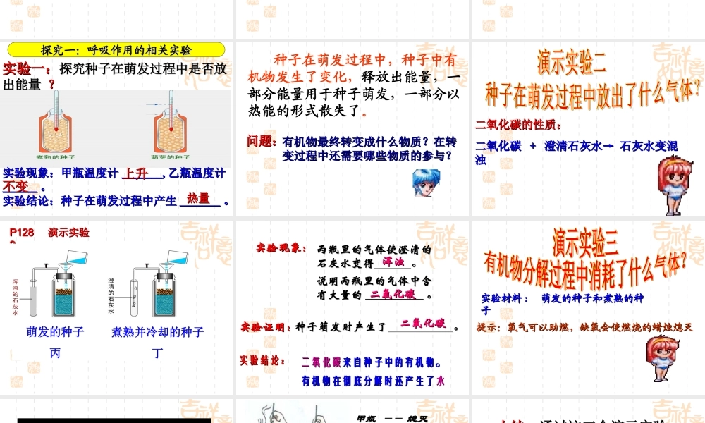 呼吸作用消耗氧气释放二氧化碳定稿.ppt