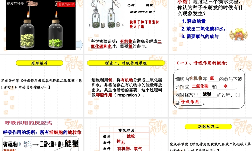 呼吸作用消耗氧气释放二氧化碳定稿.ppt