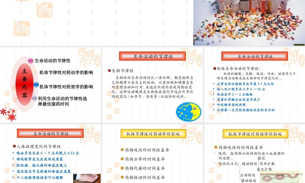 合理选择用药时间.ppt