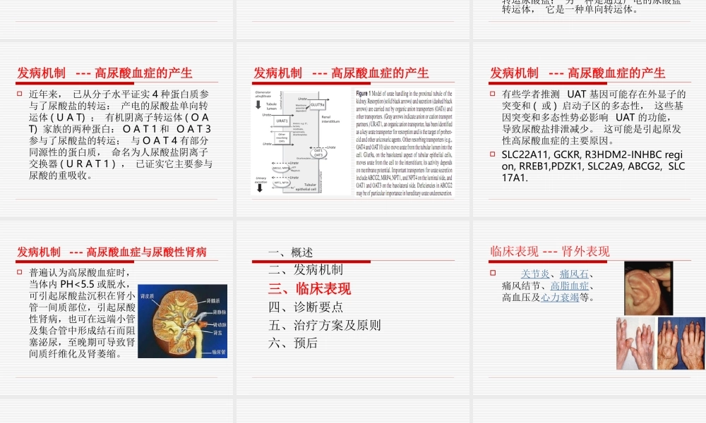 发病机制.ppt