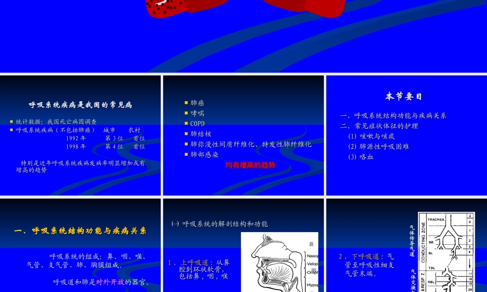 呼吸系统总论.ppt