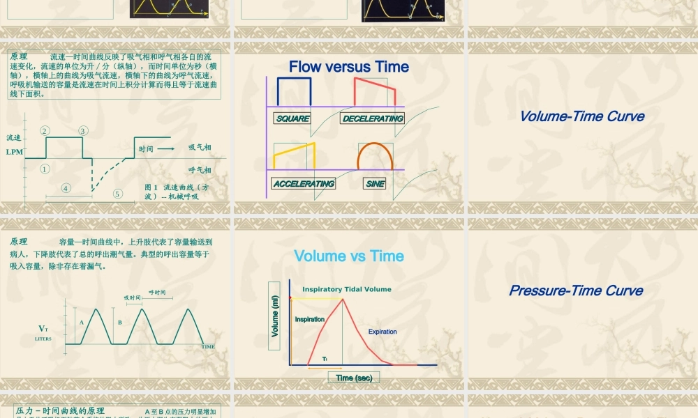 呼吸波形及环图分析.ppt