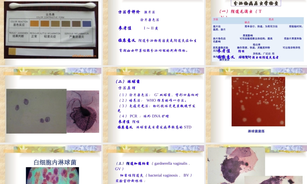 四、前列腺液及分泌物检查剖析.ppt