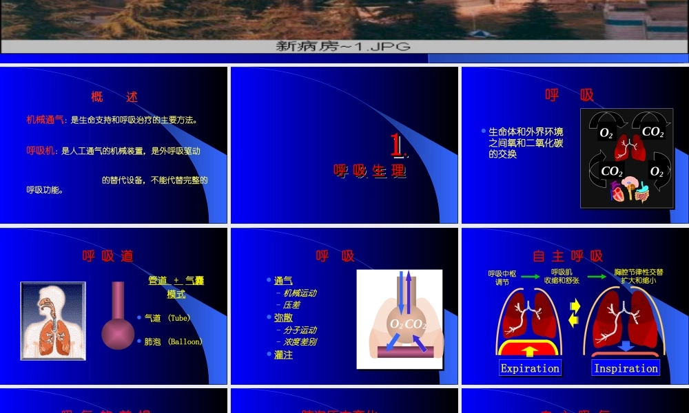 呼吸机基础--完整.ppt