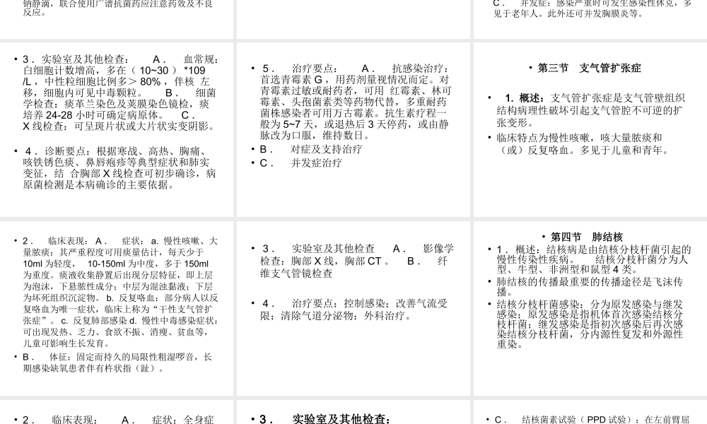 呼吸系统知识.ppt