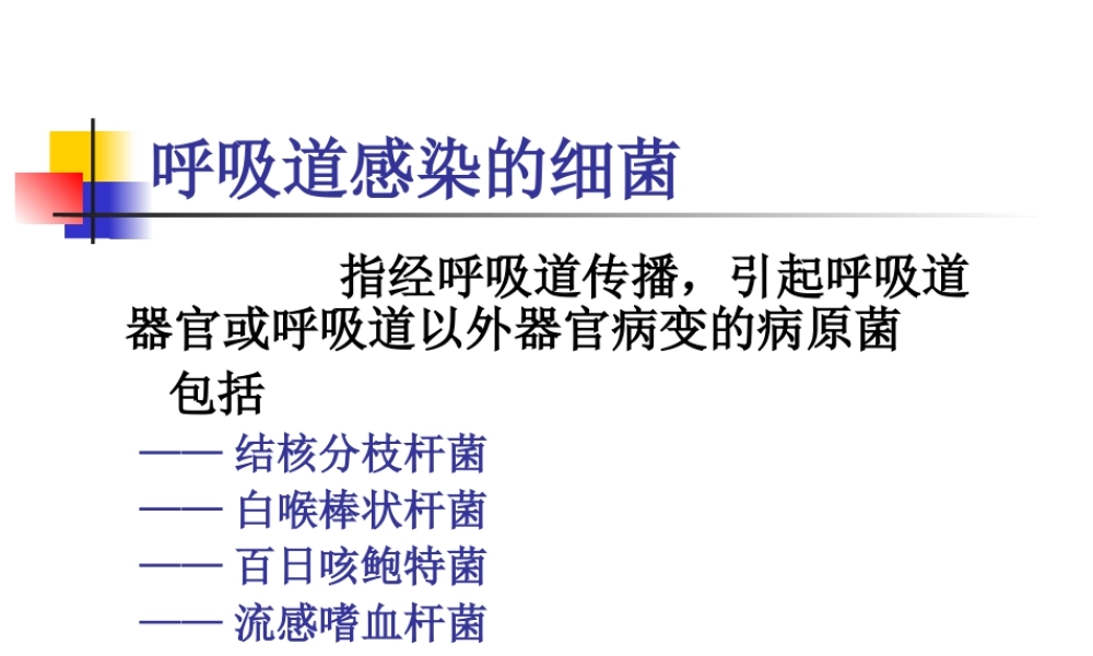 呼吸道感染的细菌.ppt