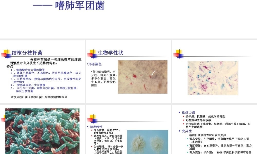 呼吸道感染的细菌.ppt