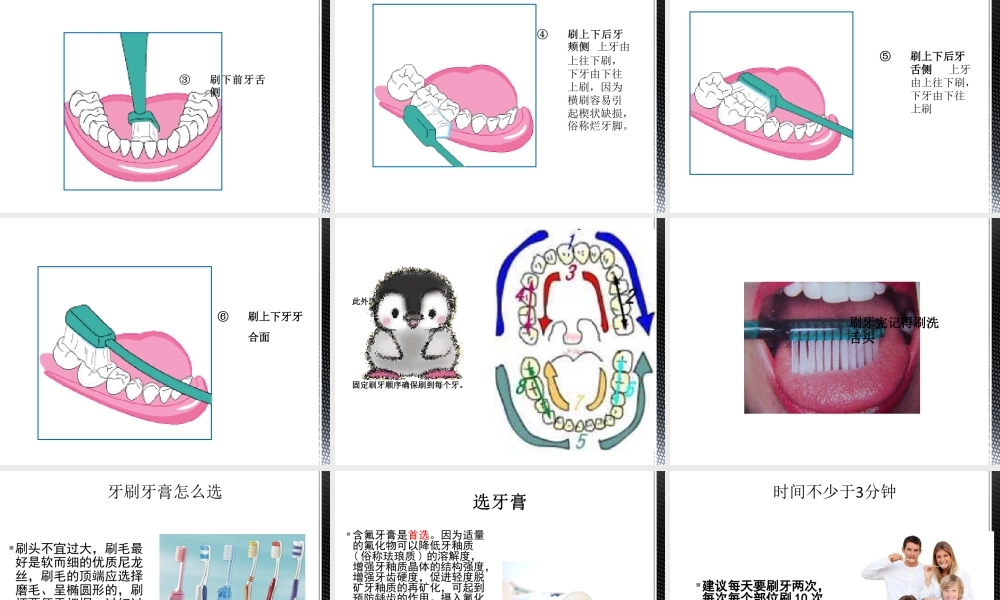 口腔卫生.ppt