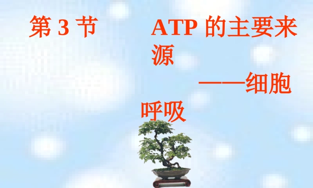 呼吸作用[1][1]概述.ppt